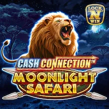 Moonlight Safari